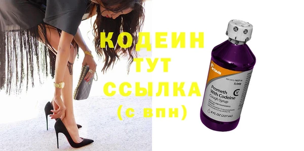 шишки Каменногорск