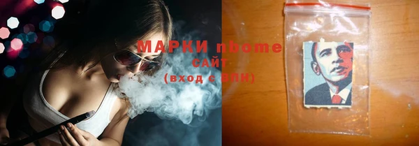 шишки Каменногорск