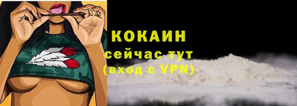 твердый Каменск-Шахтинский