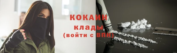 шишки Каменногорск