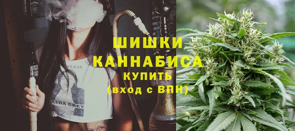 шишки Каменногорск