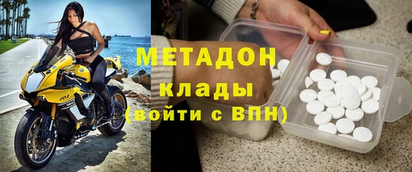 шишки Каменногорск