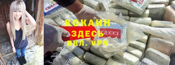 шишки Каменногорск