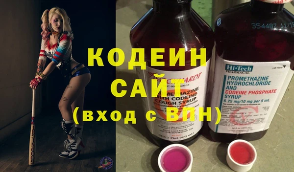 шишки Каменногорск